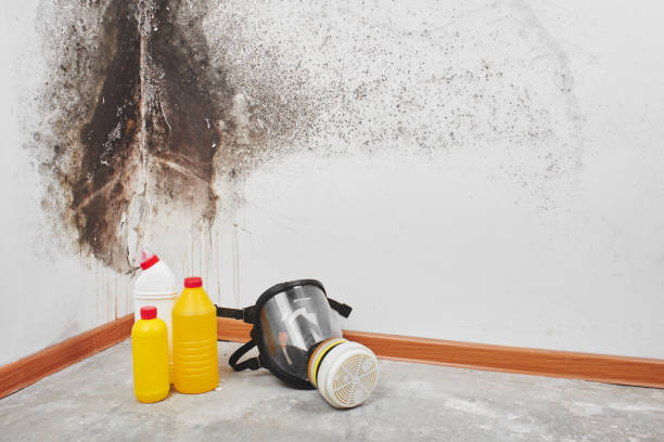 Best Crawl Space Mold Removal  in Roselle, NJ